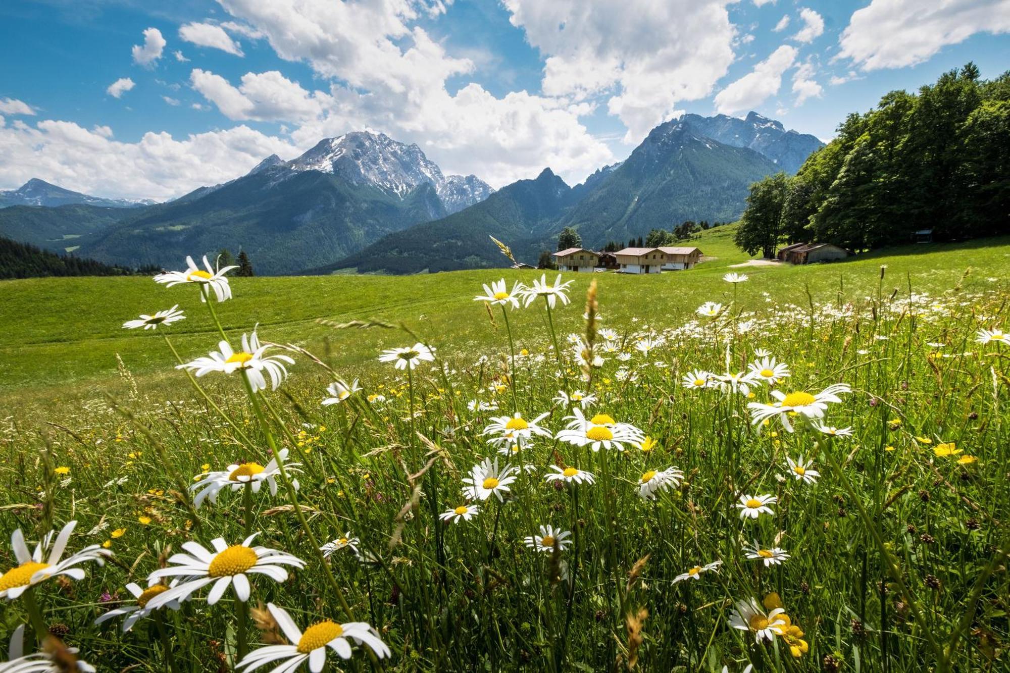 Alpenpension Ettlerlehen Ramsau bei Berchtesgaden Bagian luar foto